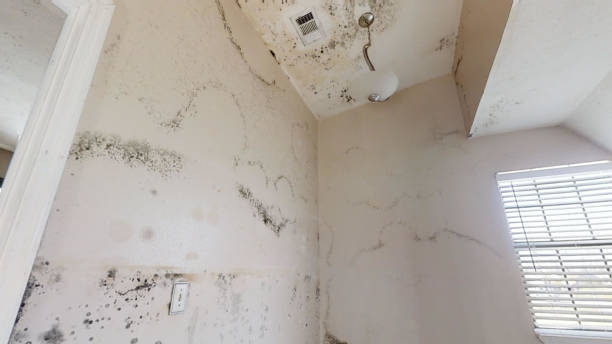 Best Indoor Air Quality Assessment  in North Haledon, NJ
