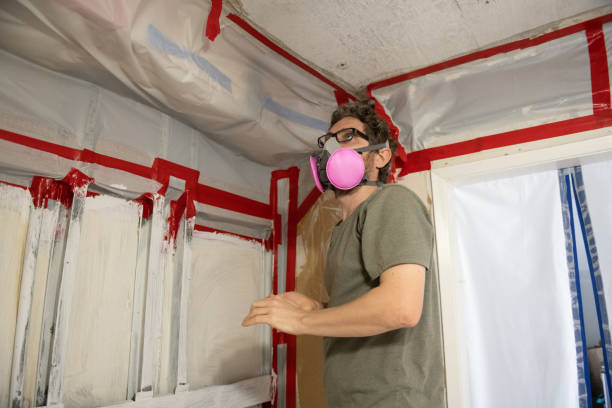 Trusted North Haledon, NJ Mold Removal Experts