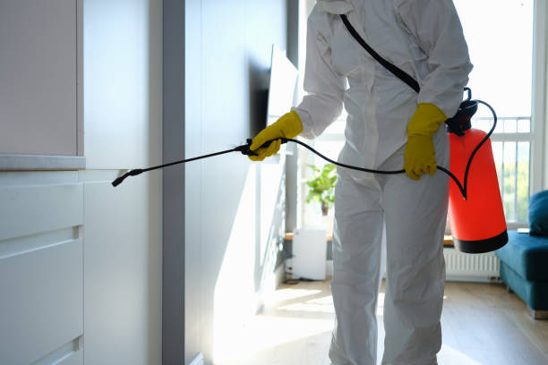  North Haledon, NJ Mold Removal Pros
