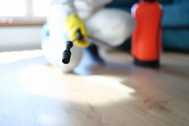 Best Airborne Mold Testing  in North Haledon, NJ