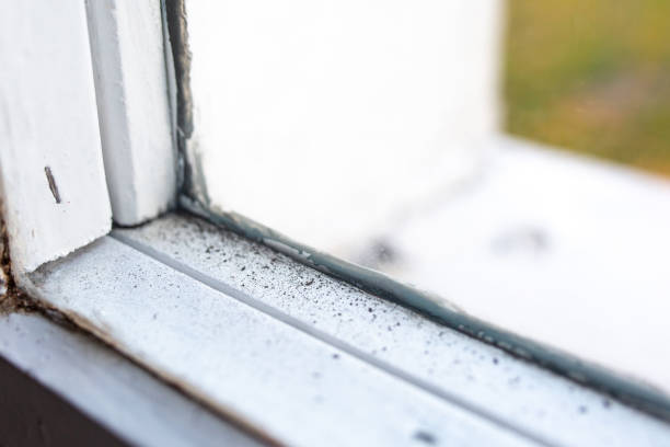 Mold Removal for HVAC Installations in North Haledon, NJ