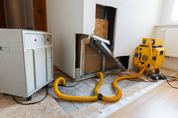 Best Emergency Mold Remediation  in North Haledon, NJ
