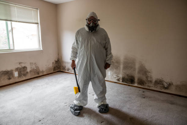 Best Industrial Mold Remediation  in North Haledon, NJ