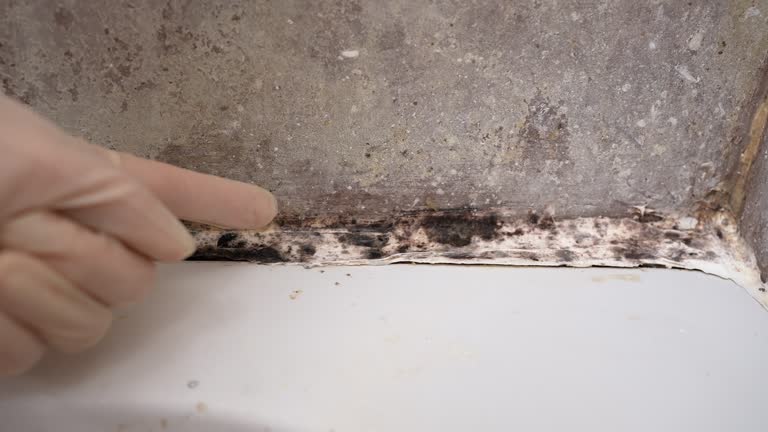 Best Post-Remediation Verification Testing  in North Haledon, NJ